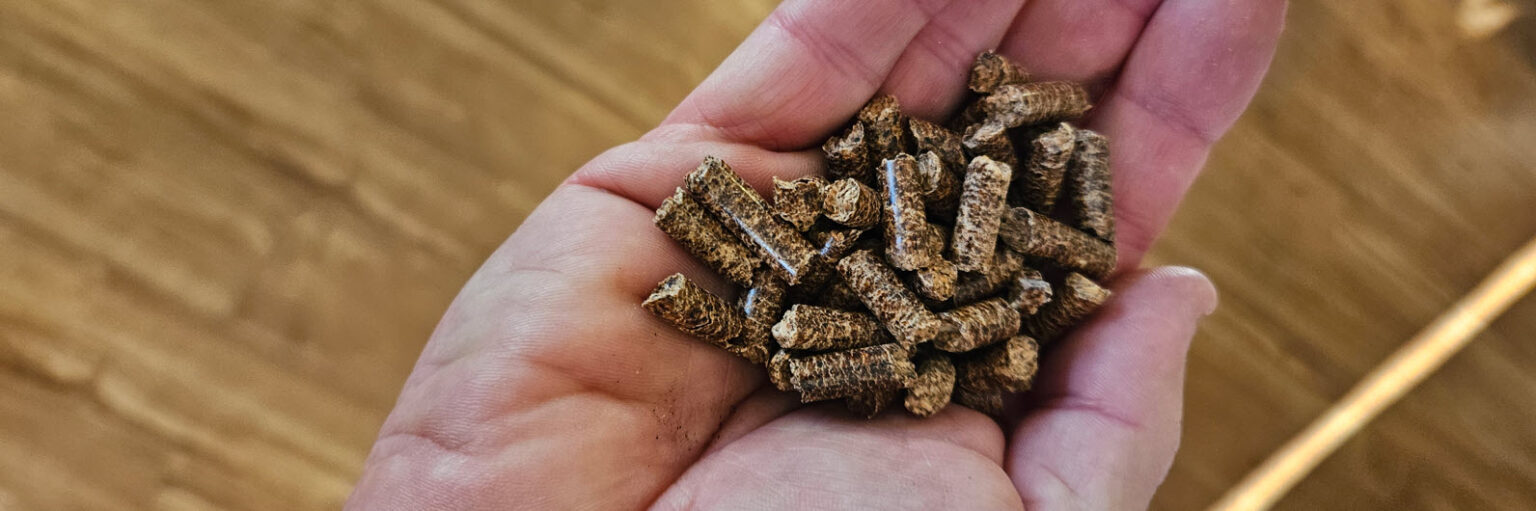 Pellets De Bois Cerise TRAEGER - Pour Barbecue, Fumoir - 100% Naturel, Certifié FSC - Saveur Fruitée